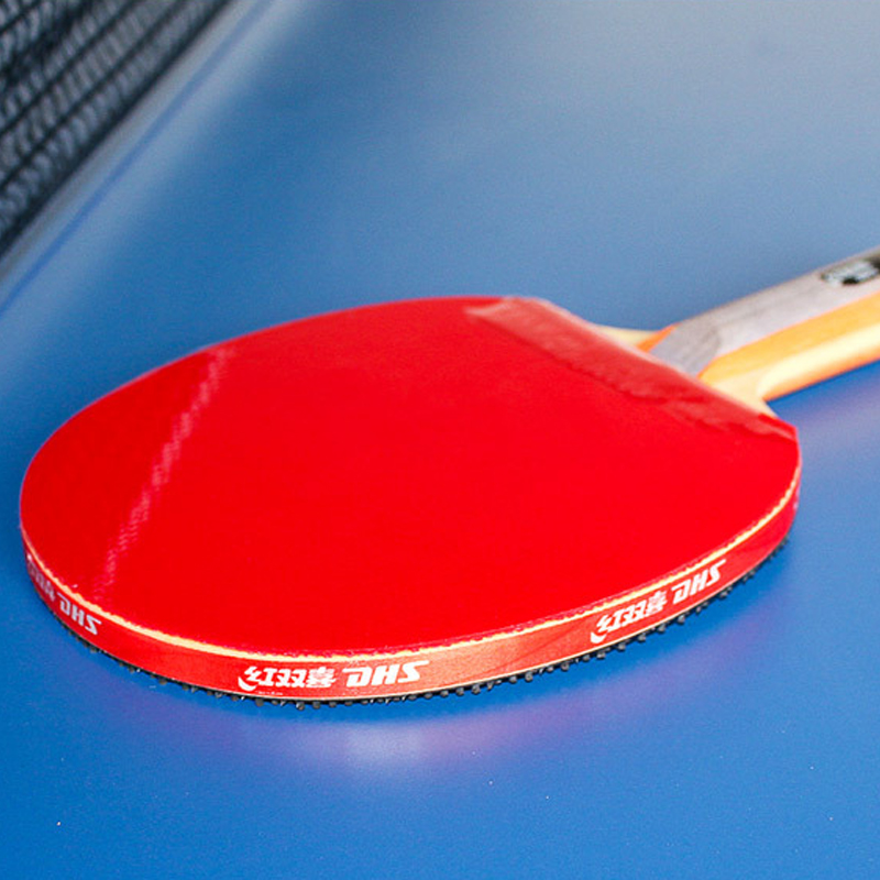 DHS Self-adhesive Table Tennis - огляд і ціна Table Tennis Defense