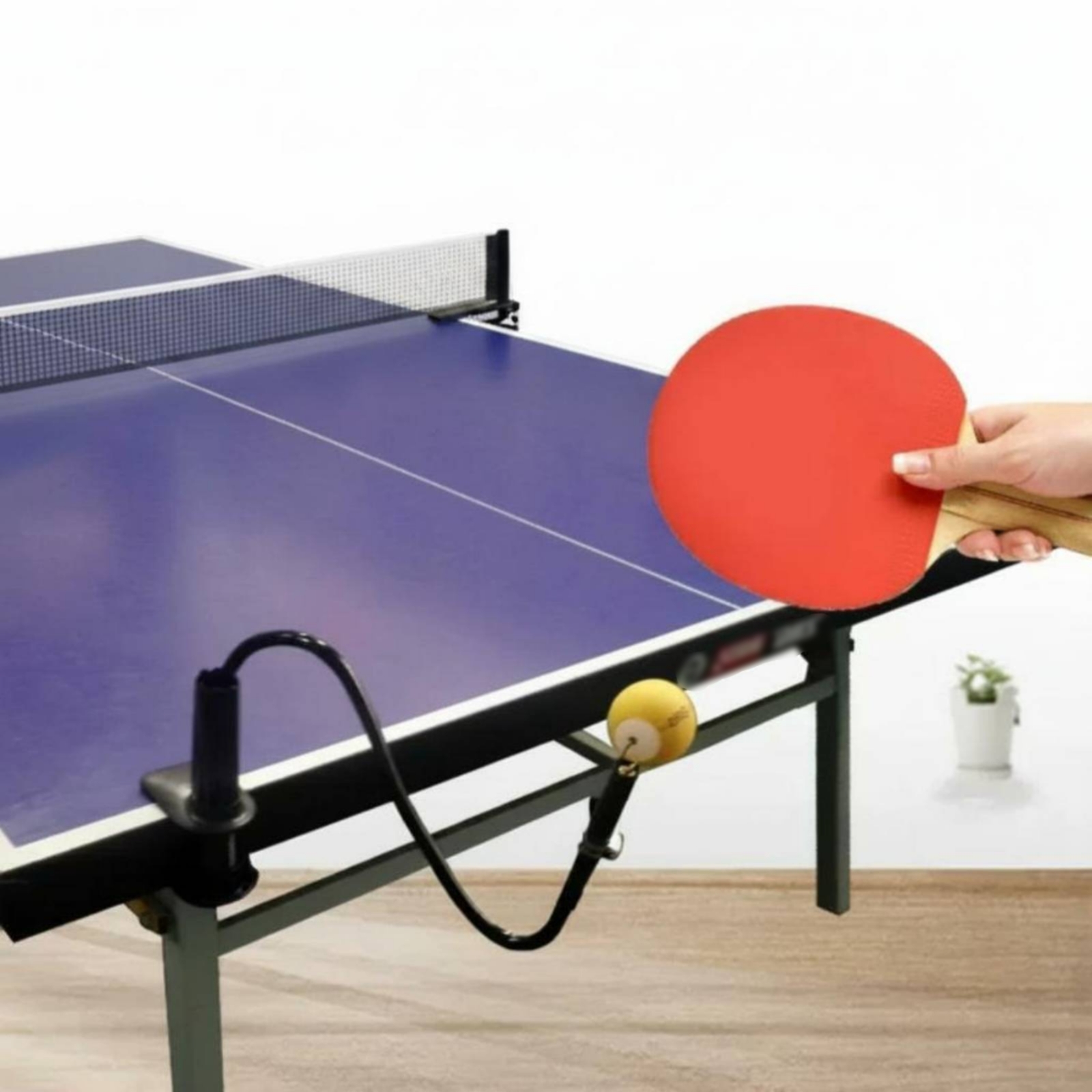 Table Tennis Solo Practice Aid - огляд і ціна Table Tennis Youtube